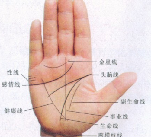 手相讲义 第1张