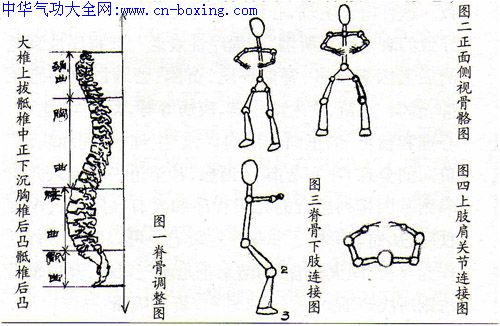 结构模式中的抻筋拔骨:图解静态下的劲力训练-刘文进