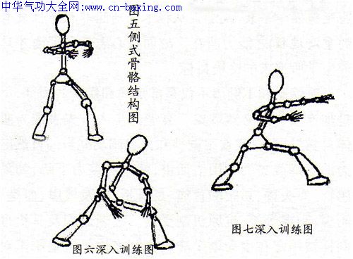 结构模式中的抻筋拔骨:图解静态下的劲力训练-刘文进