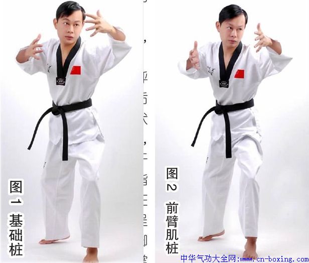 静态站桩训练-周向前