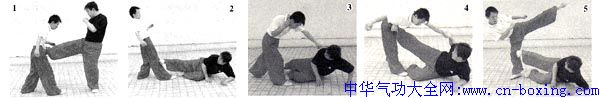 实战地躺腿——武兵 王宏强