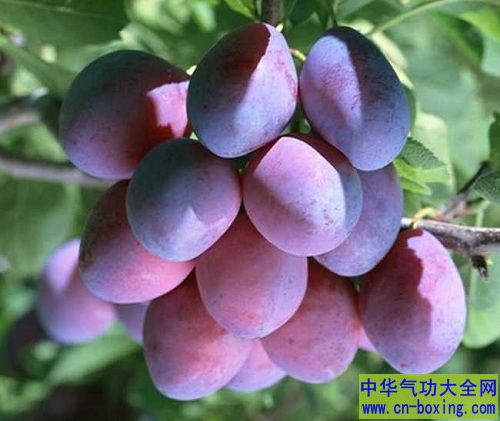 好吃还开胃 女人常吃3种食物想老都难