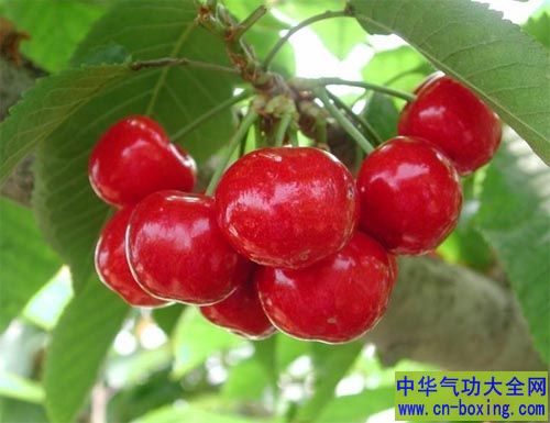 立夏养生吃什么？ 夏季饮食的宜忌