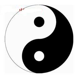 为什么太极图是两条“阴阳鱼”？