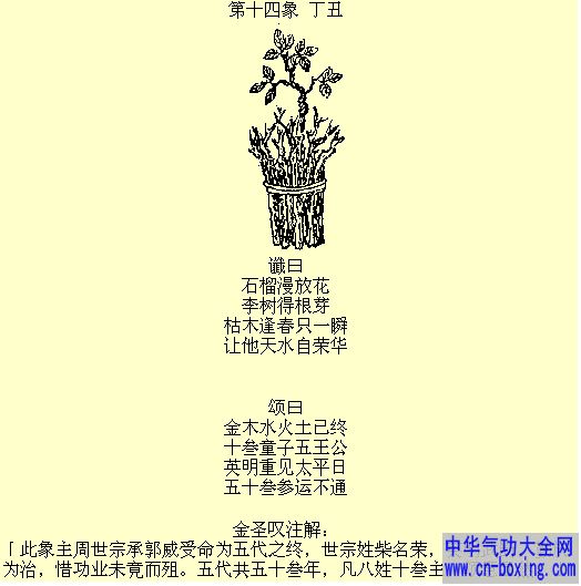 第十四象丁丑